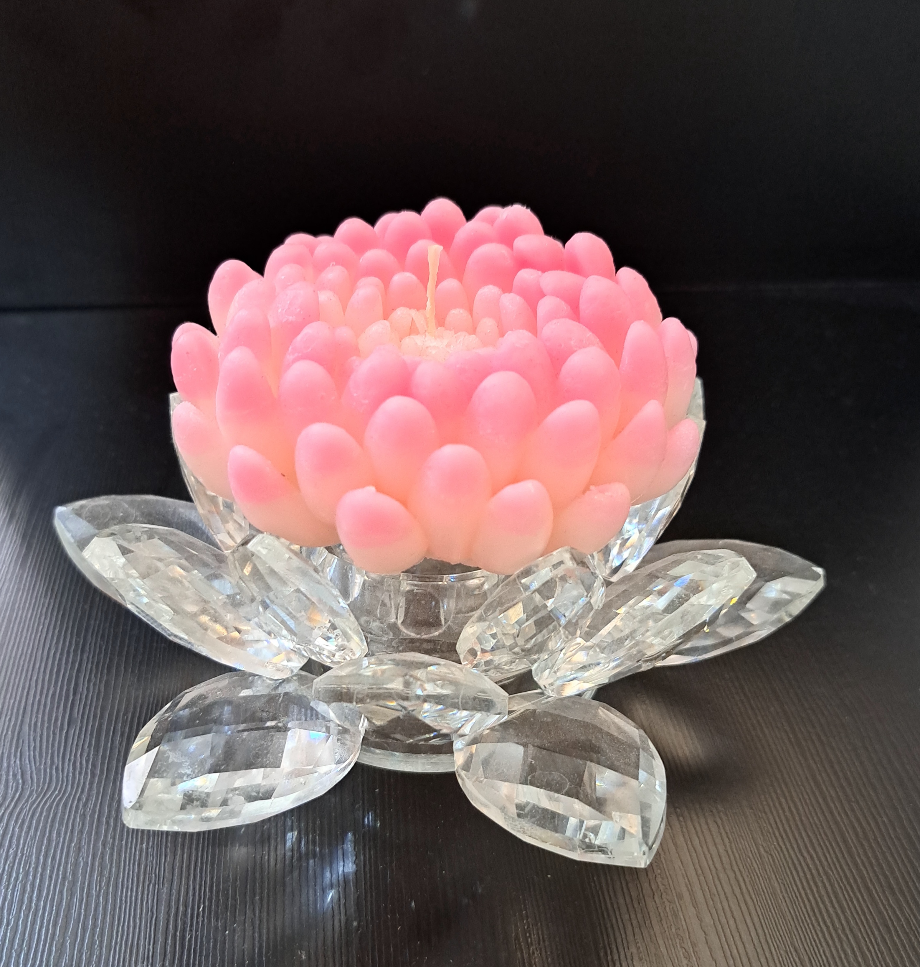 گل داوودیقیمت ۱۵۰۰۰۰