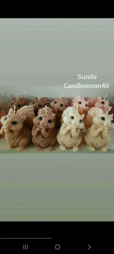 سنجاب در رنگهای دلخواه